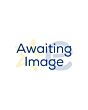 Dyson V8ABS-2023 Cordless Stick Vacuum Cleaner - 40 Minutes Run Time - Silver/Yellow